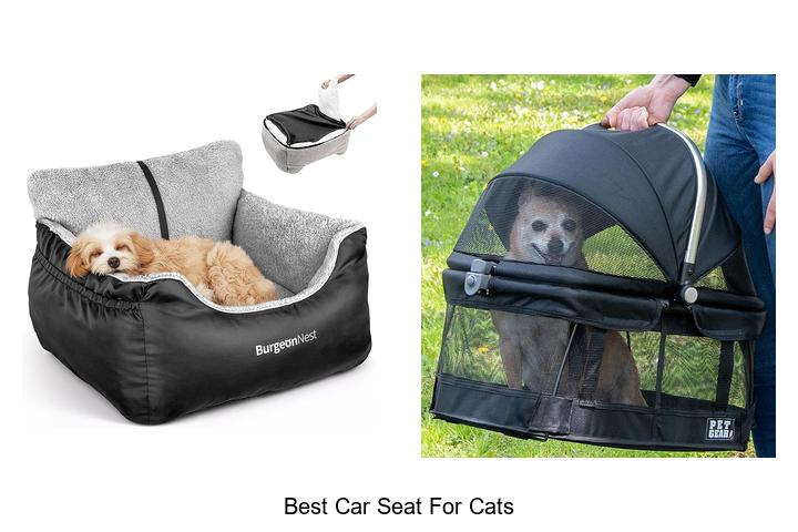 Top 15 Best Car Seat For Cats That Will Blow Your Mind