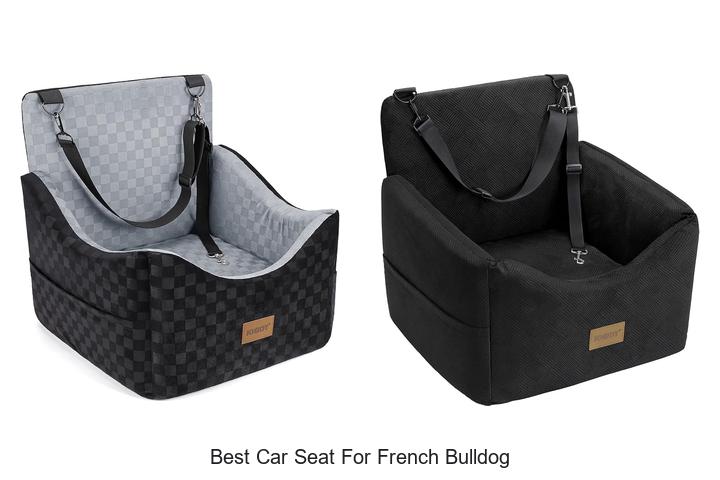 Top 15 Best Car Seat for French Bulldog You Must Have Now