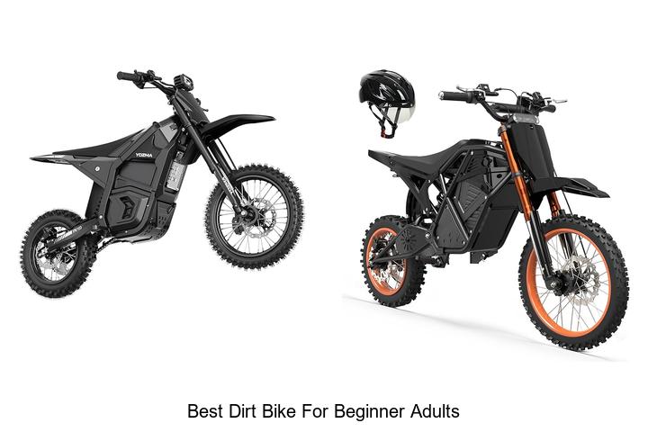 Top 15 Best Dirt Bike for Beginner Adults to Ride Now!