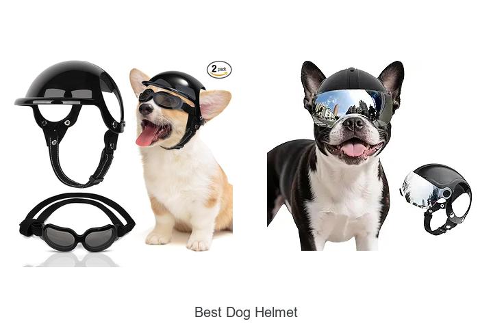 Top 15 Best Dog Helmet That Will Keep Your Pup Safe Now