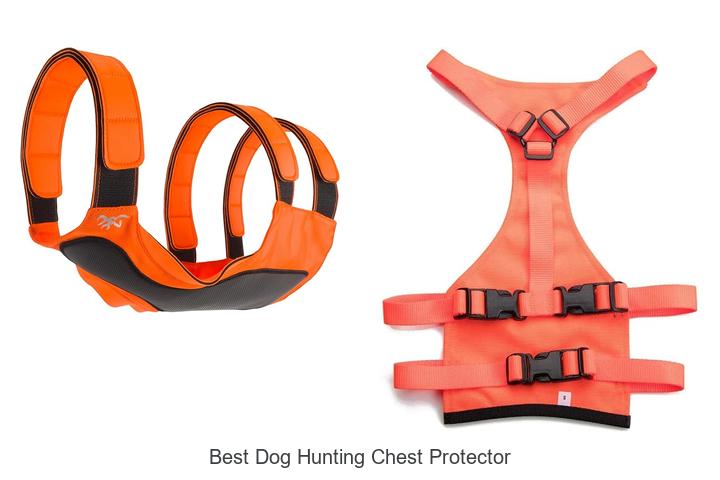 Top 12 Best Dog Hunting Chest Protector You Must See!