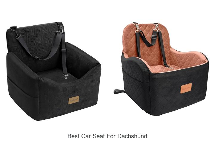 Top 15 Best Car Seat For Dachshund You Can’t Miss Today!