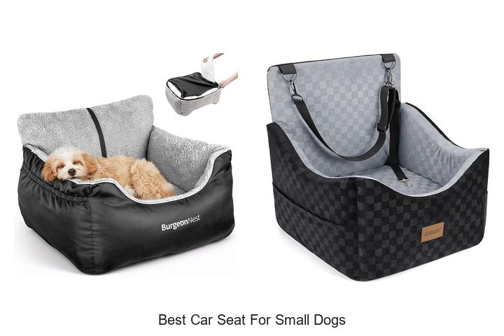 Top 15 Best Car Seat For Small Dogs You Can’t Miss!