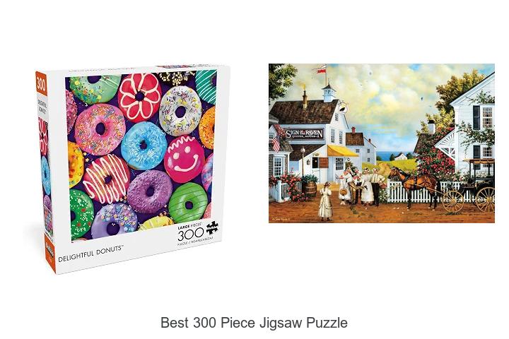 Top 12 Best 300 Piece Jigsaw Puzzle That Will Blow Your Mind