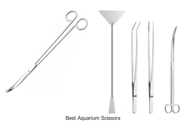 Top 12 Best Aquarium Scissors That Will Change Your Tank!