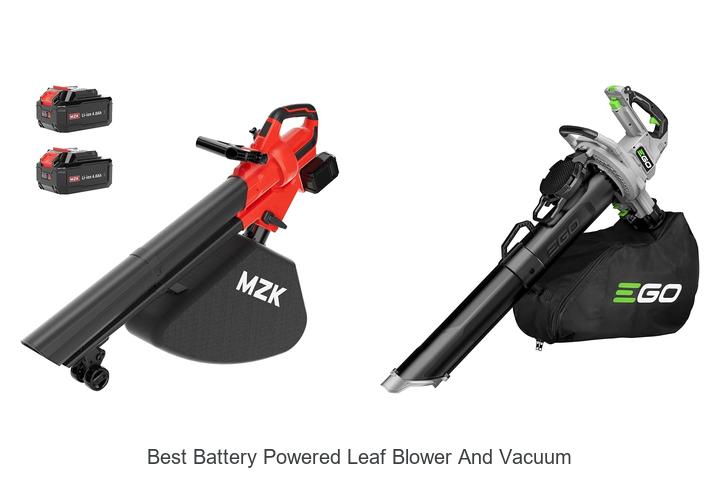 Top 12 Best Battery Powered Leaf Blower and Vacuum Revealed