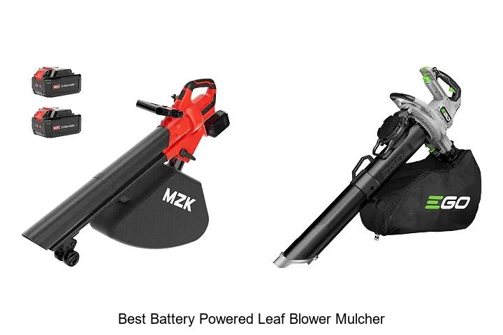 Top 12 Best Battery Powered Leaf Blower Mulcher Revealed!