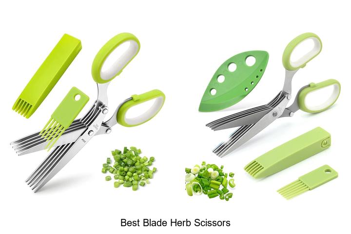 Top 12 Best Blade Herb Scissors You Can’t Miss Today