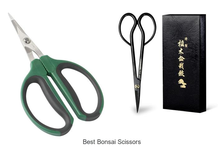 Top 12 Best Bonsai Scissors That Experts Swear By