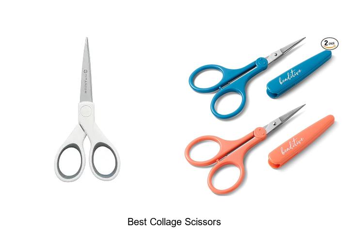 Top 12 Best Collage Scissors That Will Blow Your Mind!