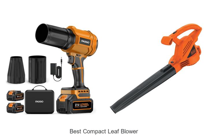 Top 12 Best Compact Leaf Blower That Will Blow You Away