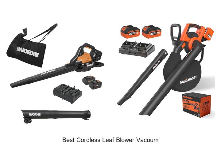 Top 12 Best Cordless Leaf Blower Vacuum You Can’t Miss!