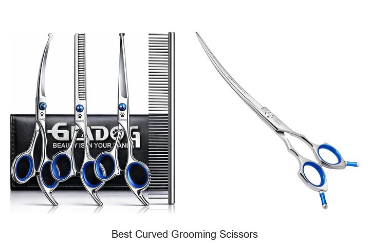 Top 12 Best Curved Grooming Scissors You Can’t Miss