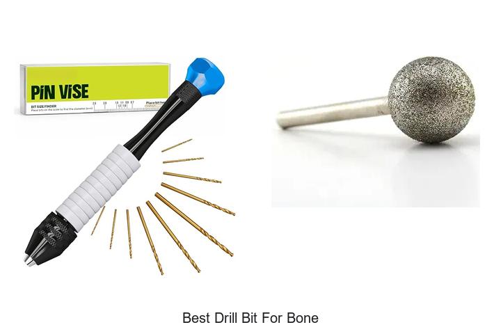 Top 12 Best Drill Bit For Bone You Can’t Miss Today