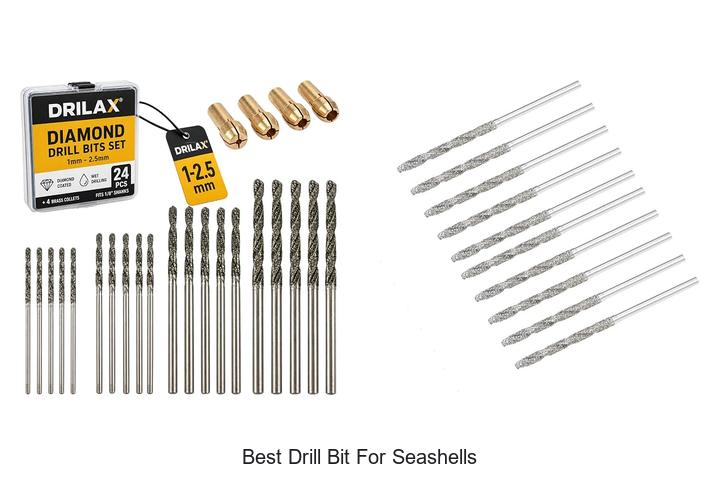 Top 12 Best Drill Bit For Seashells That Will Blow Your Mind
