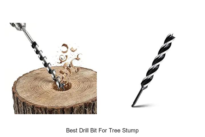 Top 12 Best Drill Bit for Tree Stump You Need Now!