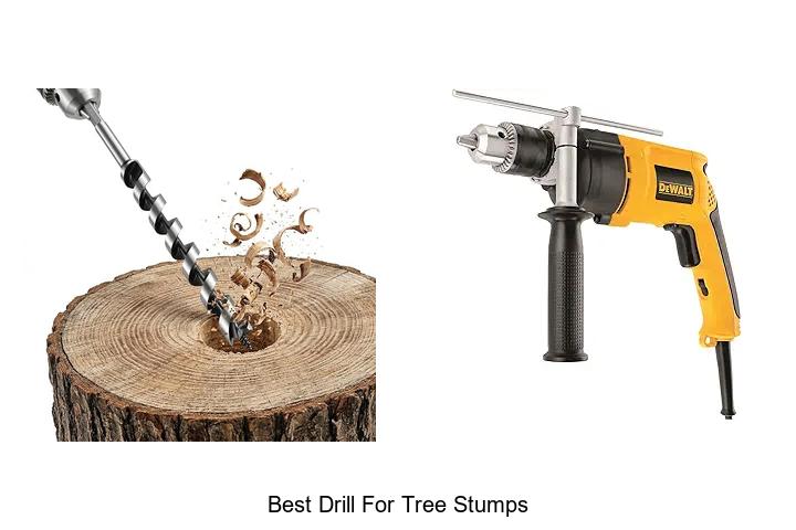 Top 12 Best Drill For Tree Stumps You Can’t Ignore!