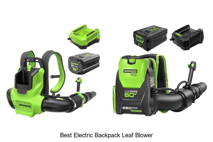 Top 12 Best Electric Backpack Leaf Blower You Need Now