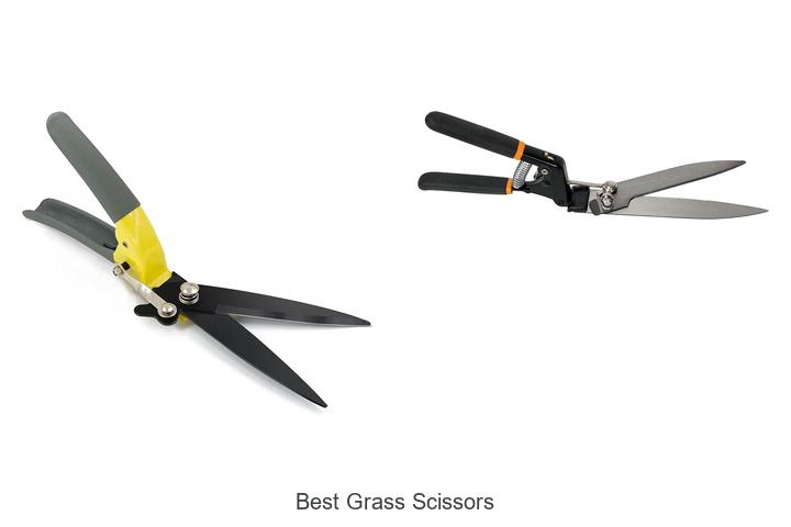 Top 12 Best Grass Scissors That Will Transform Your Lawn!