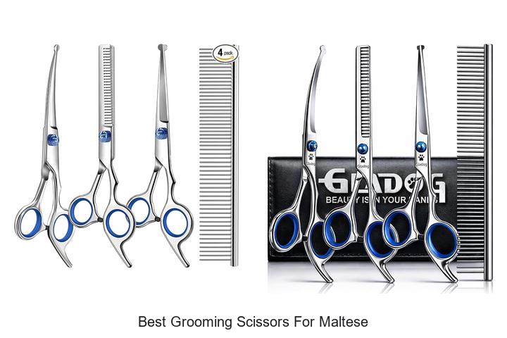 Top 12 Best Grooming Scissors for Maltese You Need Now!