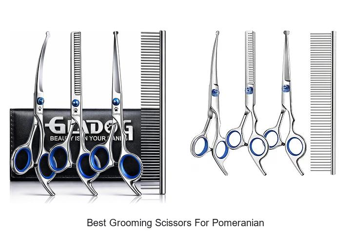 Top 12 Best Grooming Scissors for Pomeranian You Need Now