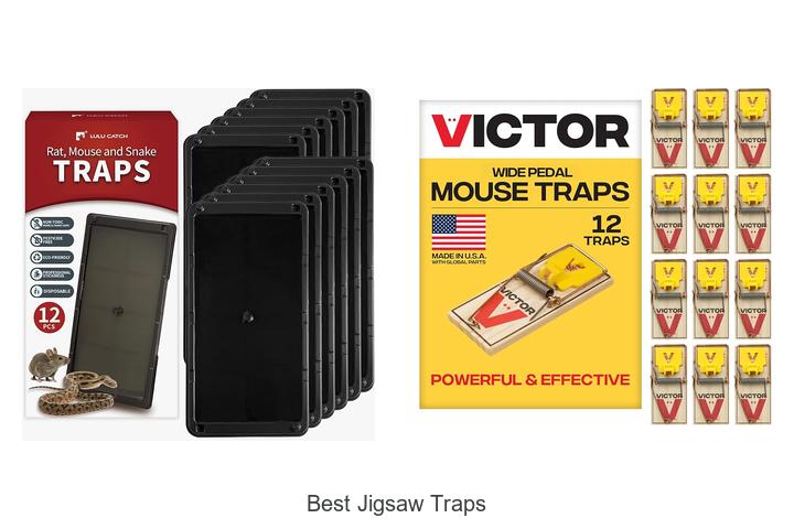Top 12 Best Jigsaw Traps You Can’t Miss Today