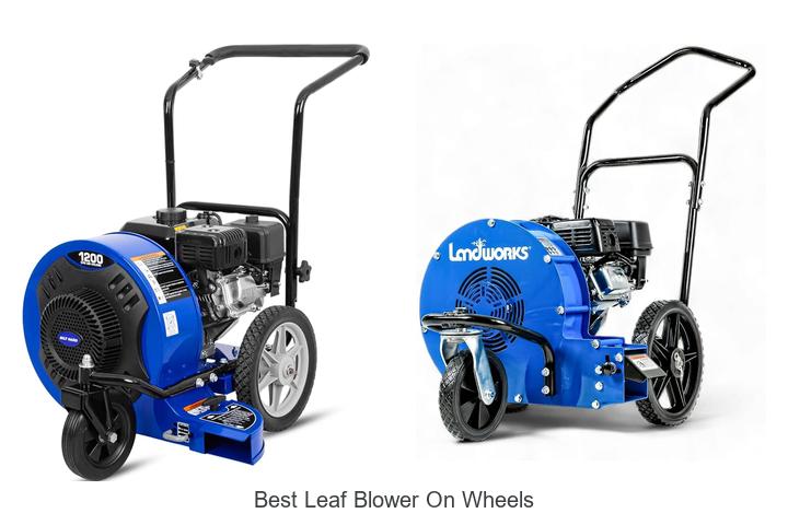 Top 12 Best Leaf Blower On Wheels That Will Blow You Away