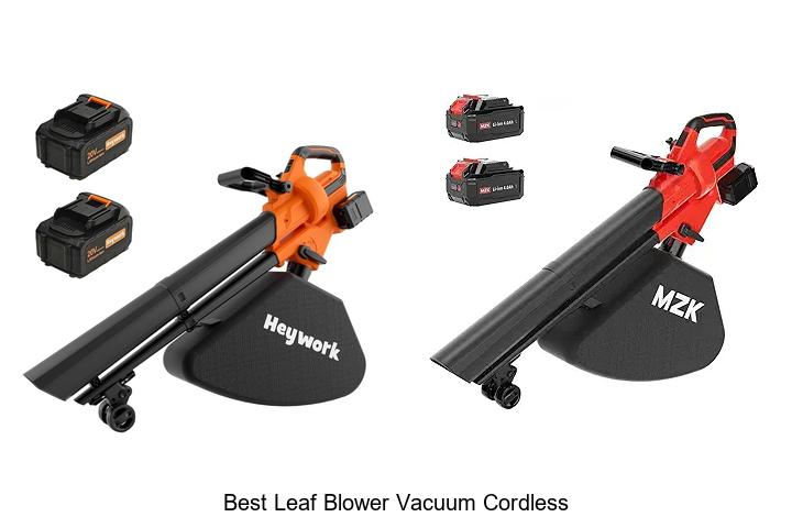 Top 12 Best Leaf Blower Vacuum Cordless You Can’t Miss