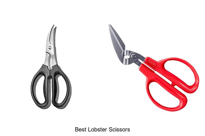 Top 12 Best Lobster Scissors That Will Change Your Seafood Game