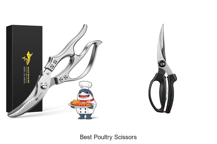 Top 12 Best Poultry Scissors You Can’t Live Without