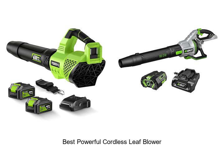 Top 12 Best Powerful Cordless Leaf Blower You Need Now