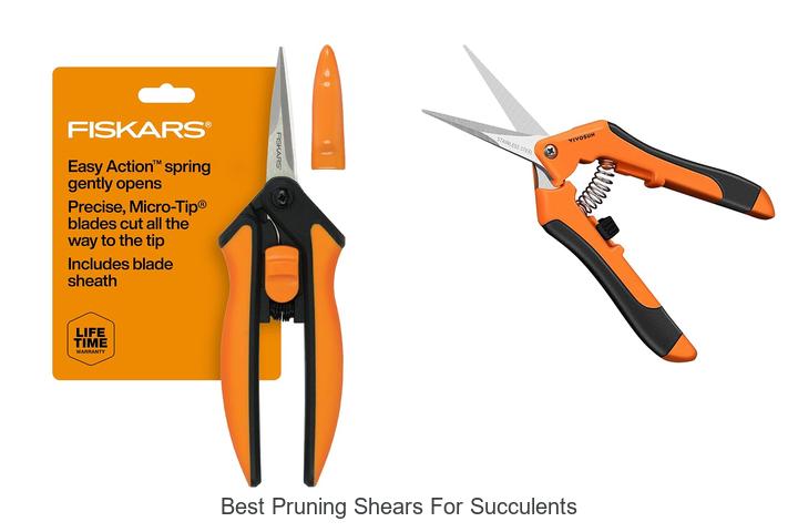 Top 12 Best Pruning Shears for Succulents That Wow!