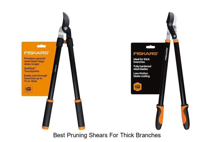 Top 12 Best Pruning Shears for Thick Branches That Impress