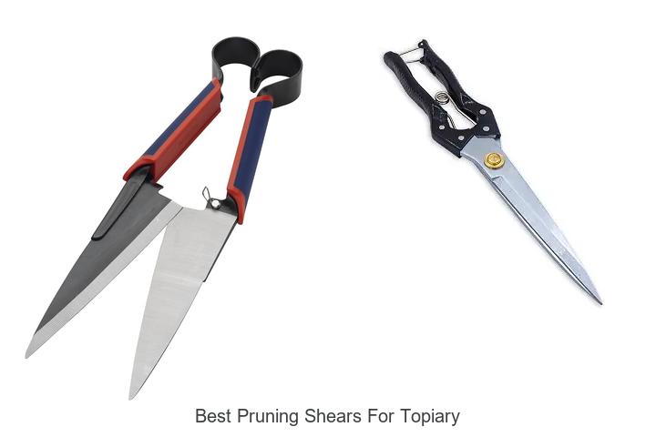 Top 12 Best Pruning Shears for Topiary That Experts Love