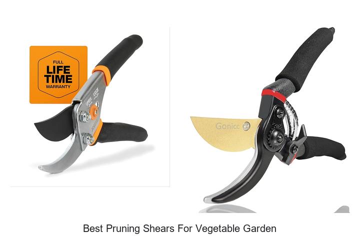 Top 12 Best Pruning Shears for Vegetable Garden You Need!