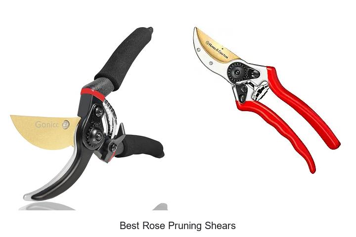 Top 12 Best Rose Pruning Shears You Can’t Miss Today