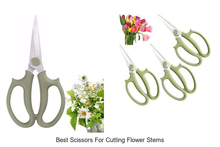 Top 12 Best Scissors For Cutting Flower Stems You Need Now