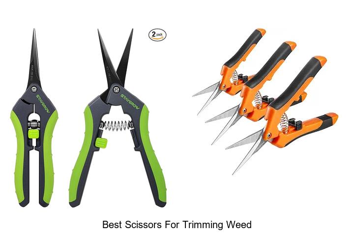 Top 12 Best Scissors For Trimming Weed That Wow Users