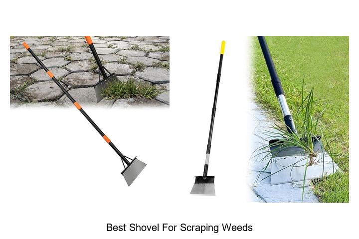 Top 12 Best Shovel for Scraping Weeds You Can’t Miss