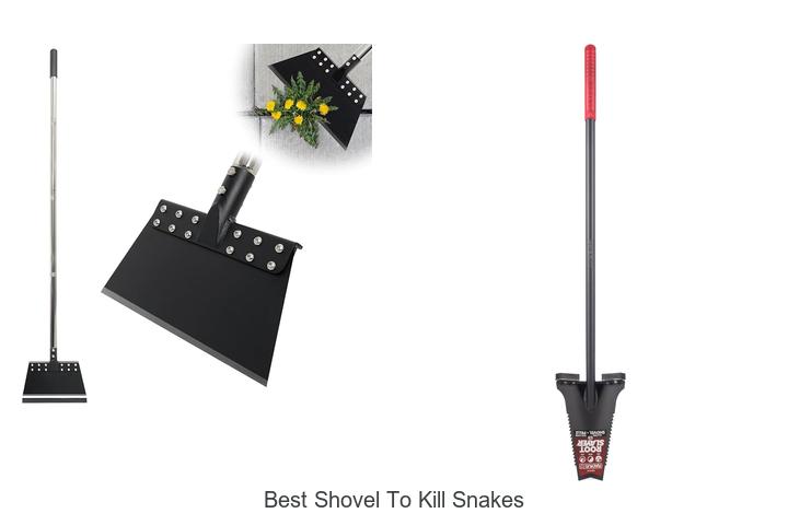Top 12 Best Shovel to Kill Snakes You Can’t Miss