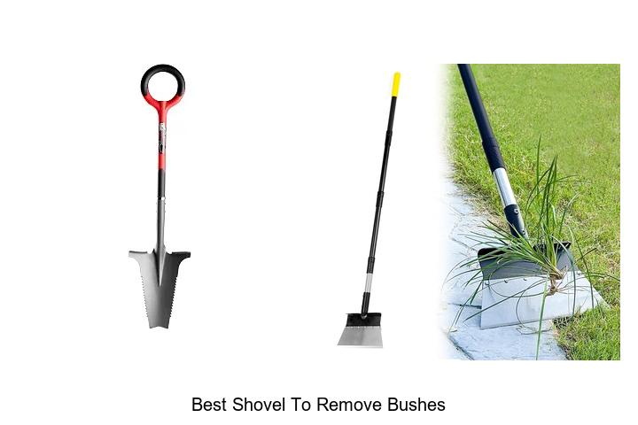 Top 12 Best Shovel to Remove Bushes That Will Blow Your Mind