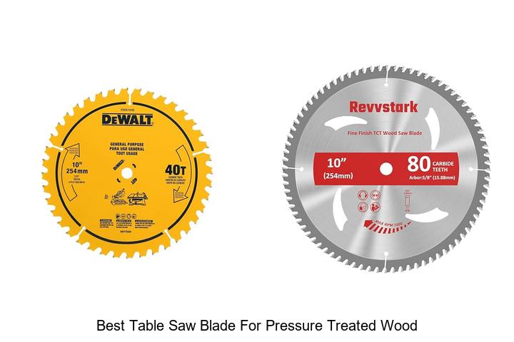 Top 12 Best Table Saw Blade For Pressure Treated Wood Revealed