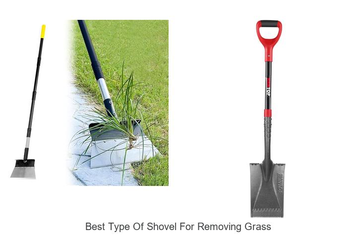 Top 12 Best Type of Shovel for Removing Grass Revealed!