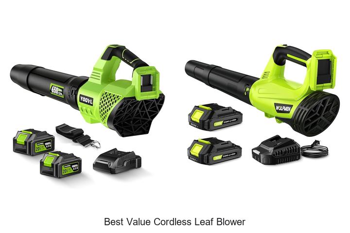 Top 12 Best Value Cordless Leaf Blower That Saves You Big!