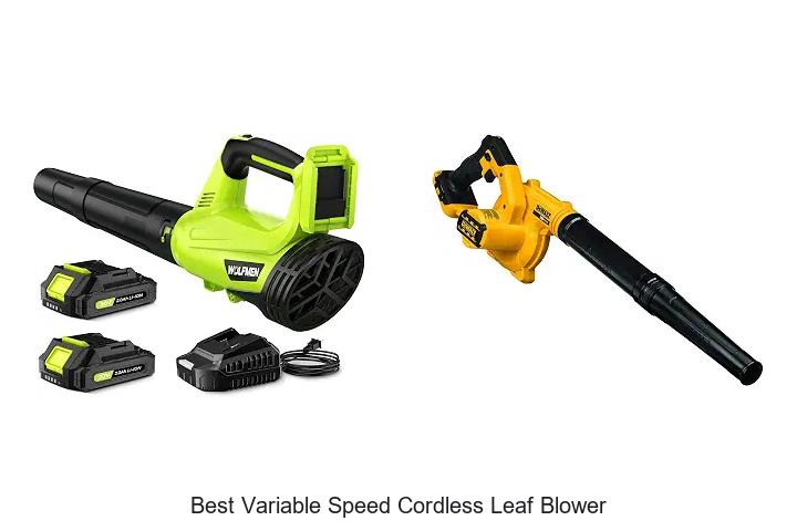 Top 12 Best Variable Speed Cordless Leaf Blower Deals Today