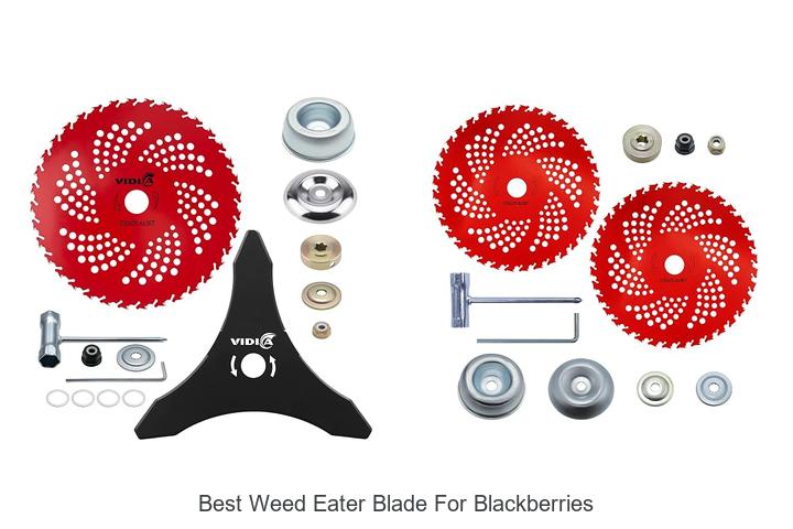 Top 12 Best Weed Eater Blade for Blackberries You Need Now