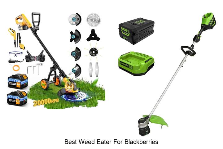 Top 12 Best Weed Eater for Blackberries That Crush Weeds!