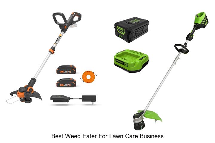 Top 12 Best Weed Eater for Lawn Care Business Revealed