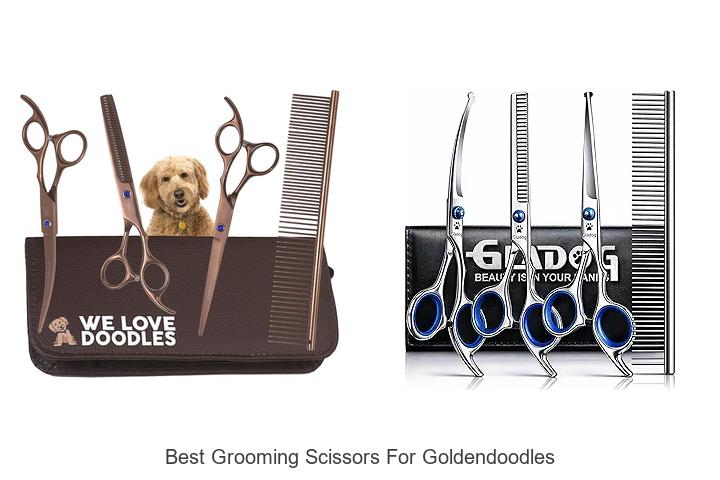 Top 12 Best Grooming Scissors for Goldendoodles You Need Now