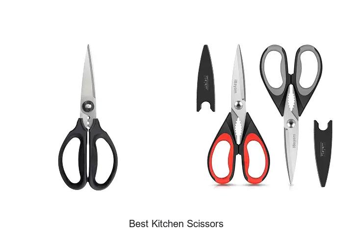 Top 12 Best Kitchen Scissors You Can’t Live Without!